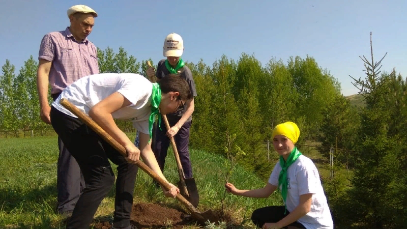 Погода в верхнем арбаше